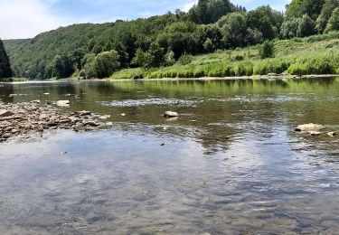 Tocht Stappen Vresse-sur-Semois - la lesse - Photo