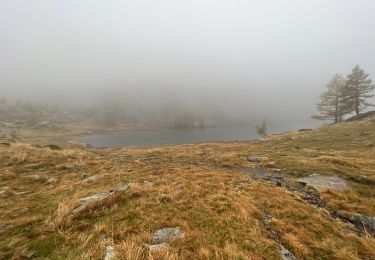 Tocht Stappen Saint-Martin-Vésubie - Trecolpas - Photo