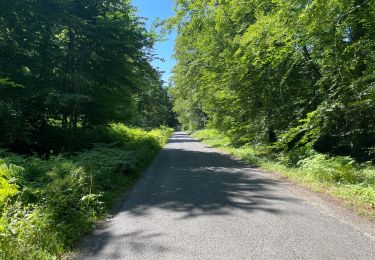 Randonnée Marche Rethondes - en Forêt de Laigue, 04_07_2025_sur les Routes du Grand Octogone, du Plessis-Brion, de Sainte-Croix, du Petit Octogone et de la Belle Assise - Photo