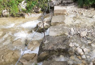 Trail Walking La Sure en Chartreuse -  Gorges de la Roize Voreppe - Photo