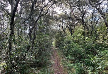 Trail Walking Nimes - NÎMES. Petite boucle sur les Hauts de Nîmes - Photo