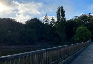 Trail Walking Poiroux - Lac de Finfarine - Photo
