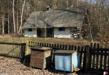 Percorso A piedi Janów - Rawicz - Photo