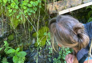 Randonnée Marche Manhay - Moulin de Lafosse - Photo