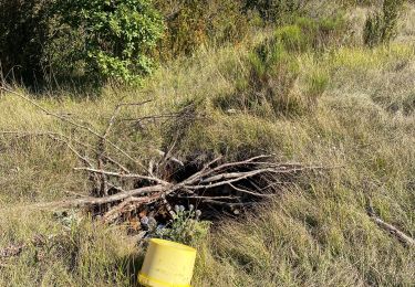 Tocht Stappen Andon - Canaux  - Photo