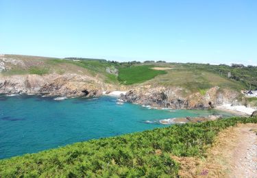 Excursión Senderismo Cléden-Cap-Sizun - pointe de brezelec 2019 - Photo