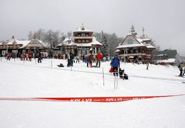 Tour Zu Fuß Mittel Betschwa - NS Radegast - Photo