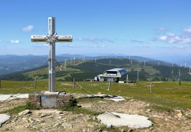 Percorso A piedi Gemeinde Spital am Semmering - Wanderweg 6 - Photo