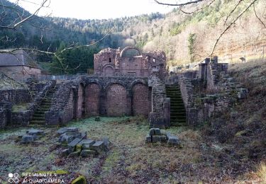 Excursión Senderismo Obernai - chapelle st Léonard - Photo