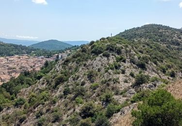 Percorso A piedi La Garde-Freinet - Fort Freinet-la Garde-Freinet-02-06-23 - Photo