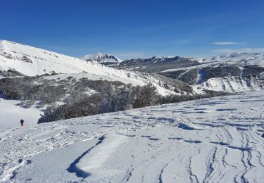 Trail Walking Chamaloc - Rousset-col et rochers de Chironne 7km - Photo