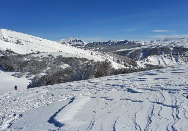 Tour Wandern Chamaloc - Rousset-col et rochers de Chironne 7km - Photo