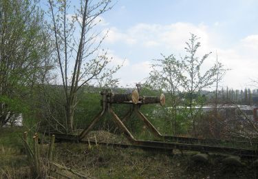 Tocht Te voet Dransfeld - Rundwanderweg Dransfeld 16 - Photo