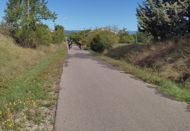 Randonnée Cyclotourisme Vogüé - Vogüé Vignobles et un Dolmen  - Photo