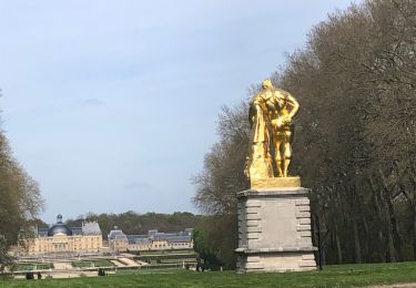 Randonnée Marche Fontainebleau - Rando des trois châteaux 2023 - Photo