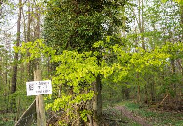 Randonnée A pied Schöntal - Rundweg 2 Neusaß - Photo