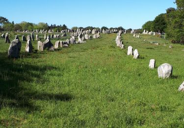 Trail Walking Carnac - alignements de Carnac au 21 mai 2019 - Photo