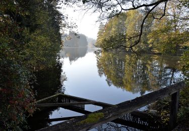 Excursión A pie Moosburg - W1 Bannwaldweg - Photo