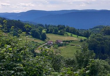 Trail Walking Thiéfosse - thiefosse haut du roc AR - Photo