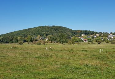 Trail Walking Saint-Rémy-lès-Chevreuse - Chevreuse - Photo