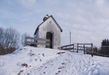 Tocht Te voet Sulzberg - Rundwanderweg Sulzberg 7 - Photo