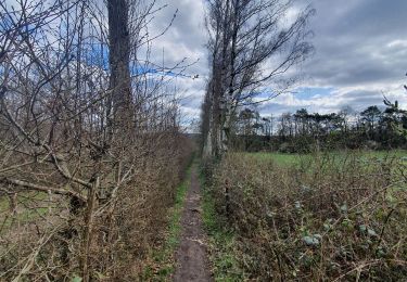 Tour Wandern Viroinval - rando olloy 3-04-2022 - Photo