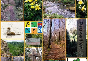 Trail Walking Saint-Philbert-sur-Orne - Circuit des Roches - Photo