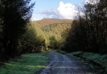 Tour Wandern Doische - Balade de Soulme à Gochenée - Photo