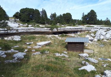 Tour Wandern Entremont-le-Vieux - Le Pinet en circuit partiel - Photo