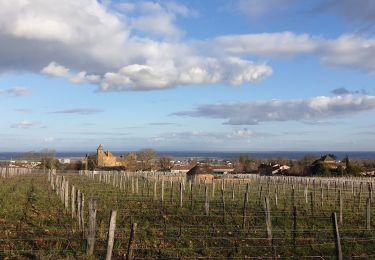 Tocht Stappen Charnay-lès-Mâcon - Levigny Salornay - Photo