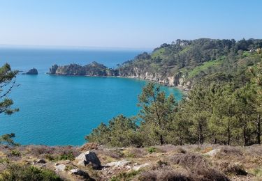 Tour Wandern Crozon - MORGAT LA PTE DE LA CHÈVRE CA 25 MAI 2023 - Photo