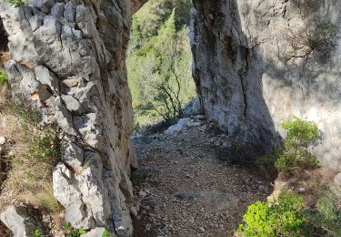 Percorso Marcia Ollioules - ouilloul (la Ciotat 2) - Photo