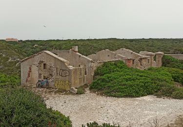 Tour Hybrid-Bike Bonifacio - Bonifacio  - Photo