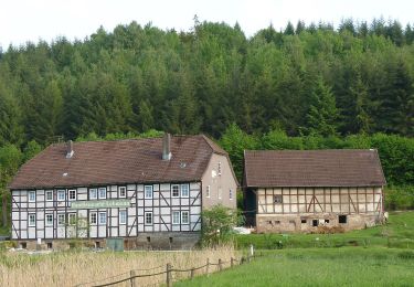 Tocht Te voet Adelebsen - Rundwanderweg Adelebsen 3 - Photo