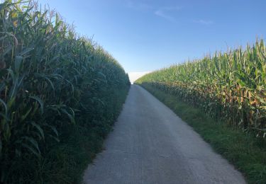 Tocht Wegfiets Heers - Mini - Photo