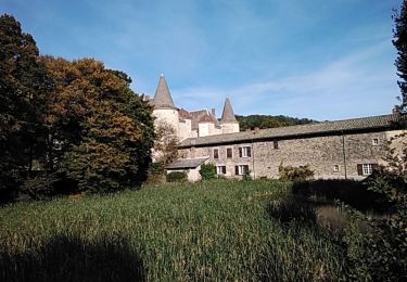 Randonnée Marche Quincié-en-Beaujolais - Quincie en Beaujolais 69430 - Photo