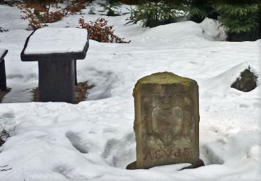 Percorso A piedi Lipová - Kirchsteig - Photo