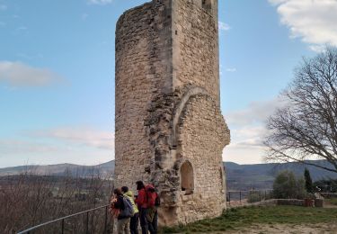 Tocht Stappen Reillanne - reillane. carluc - Photo