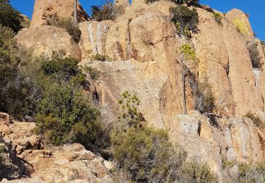 Tour Wandern Puget-sur-Argens - Meulieres  - Photo