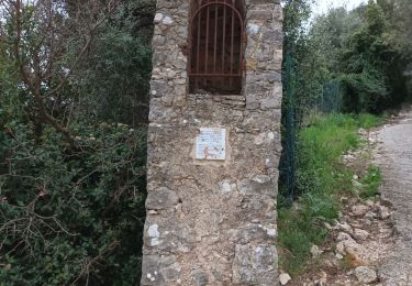 Trail Walking La Valette-du-Var - Le Revest les Eaux-29-03-2023 - Photo