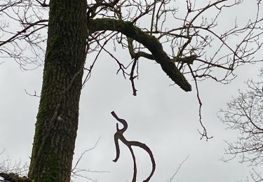 Tour Wandern Somme-Leuze - Sinsin - Photo