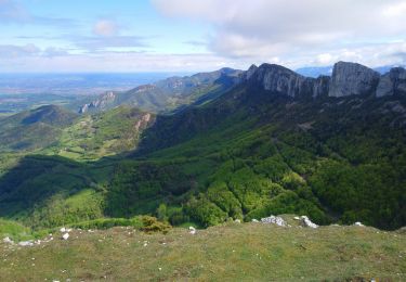 Excursión Senderismo Léoncel - Pierre Chauve  - Photo