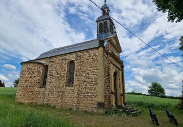 Tour Mountainbike Coutouvre - Roanne-trotinnette-coutouvre-20km - Photo