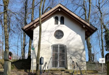 Percorso A piedi Altomünster - Landschaftsweg - Photo