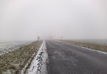 Randonnée A pied Kladno - [Ž] Svatý Jakub - Kačice - Photo