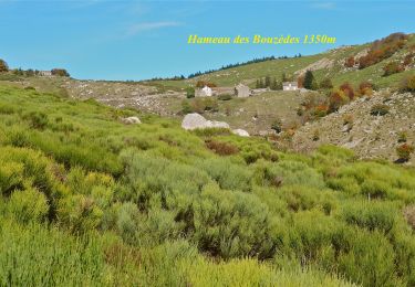 Tour Wandern Génolhac - Les Bouzèdes - Photo