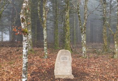 Tour Wandern La Nouaille - la boucle du Puy Riau - Photo