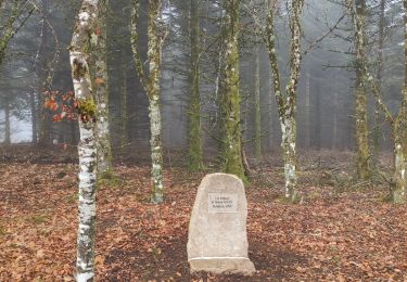 Randonnée Marche La Nouaille - la boucle du Puy Riau - Photo