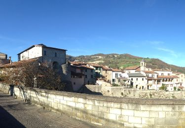 Tour Zu Fuß Civitella di Romagna - IT-201x - Photo