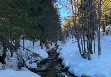 Randonnée Raquettes à neige Bellefontaine - Bellefontaine,roche devant, les Gentianes - Photo